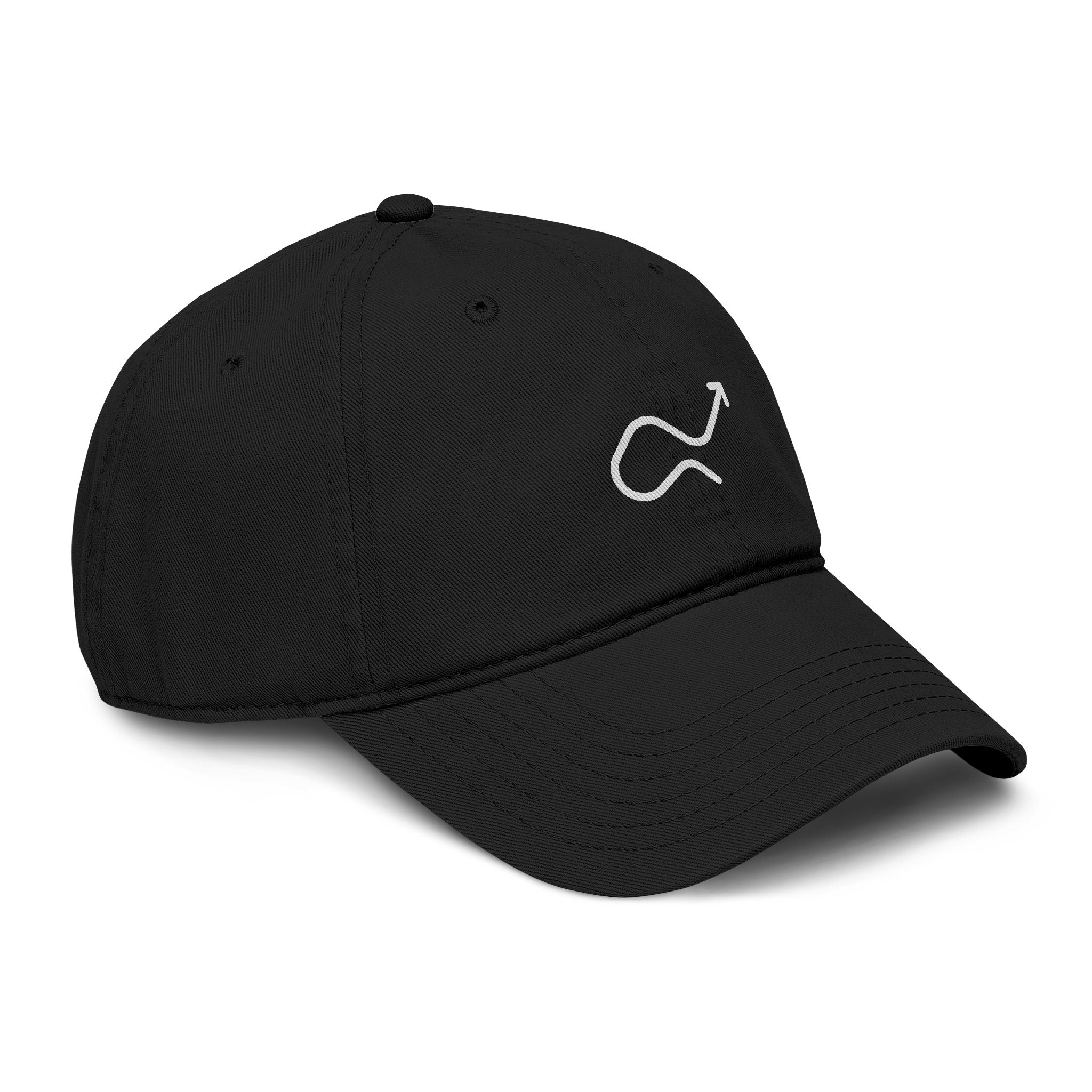 Skip the Manual Logo Washed Baseball Cap