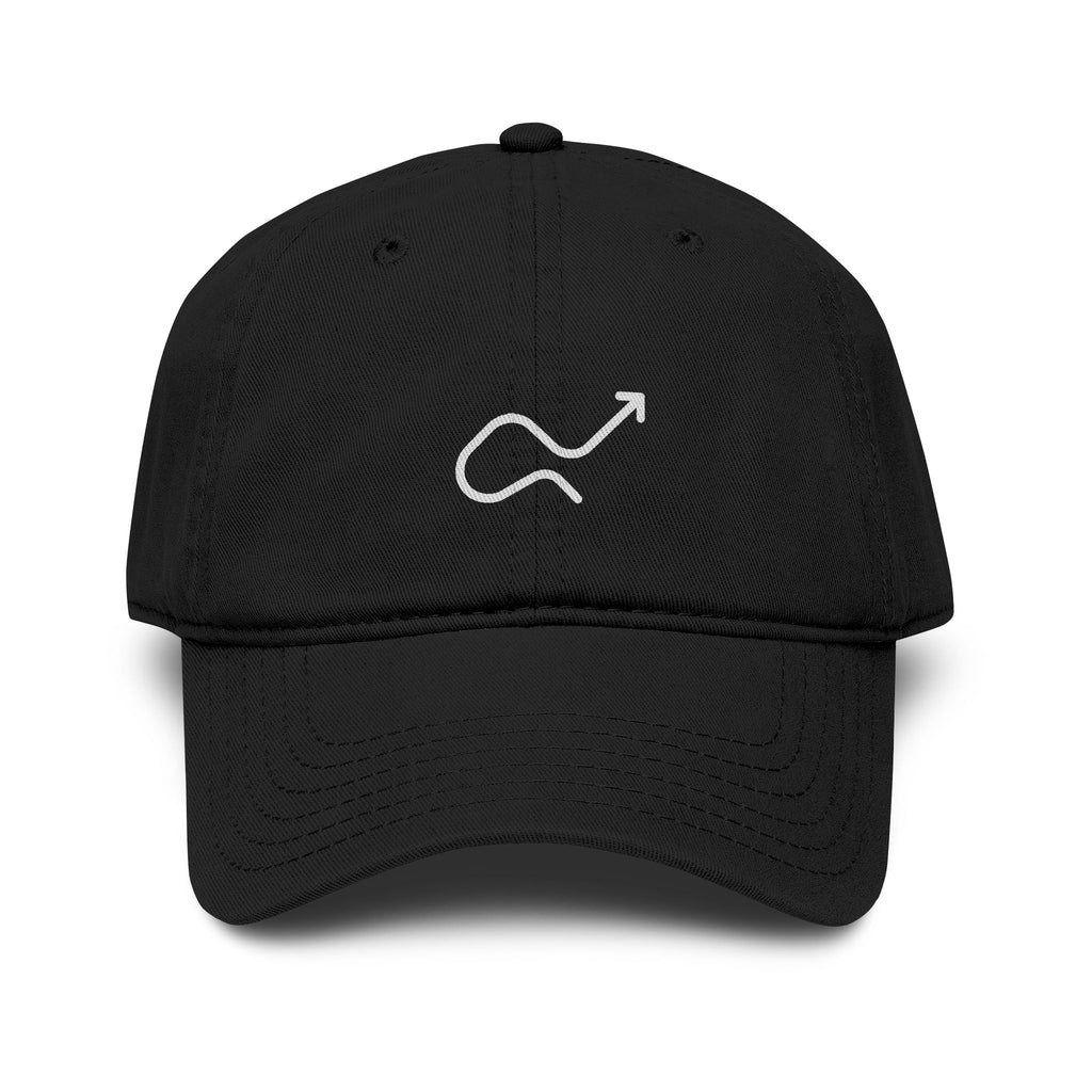 Skip the Manual Logo Washed Baseball Cap