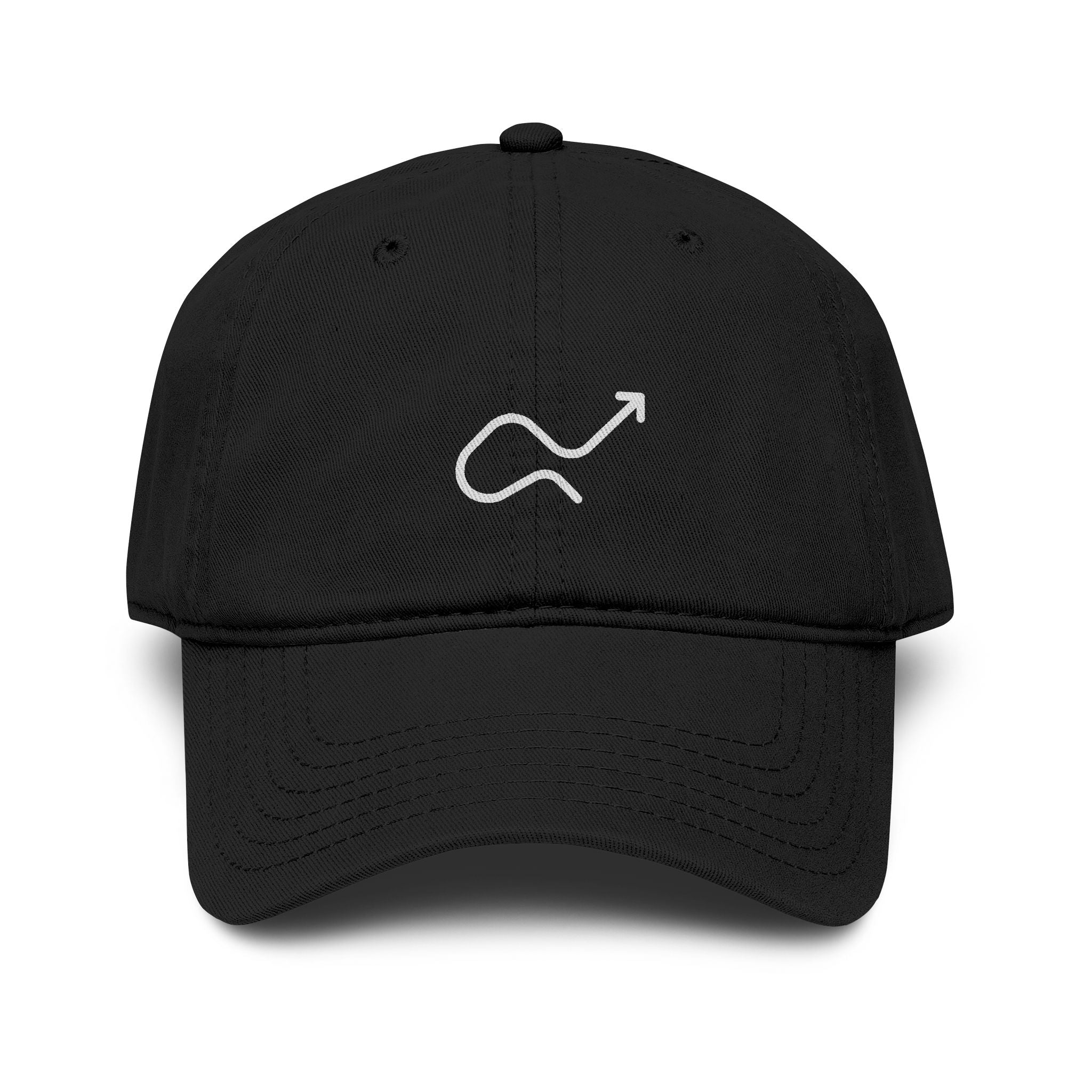 Skip the Manual Logo Washed Baseball Cap
