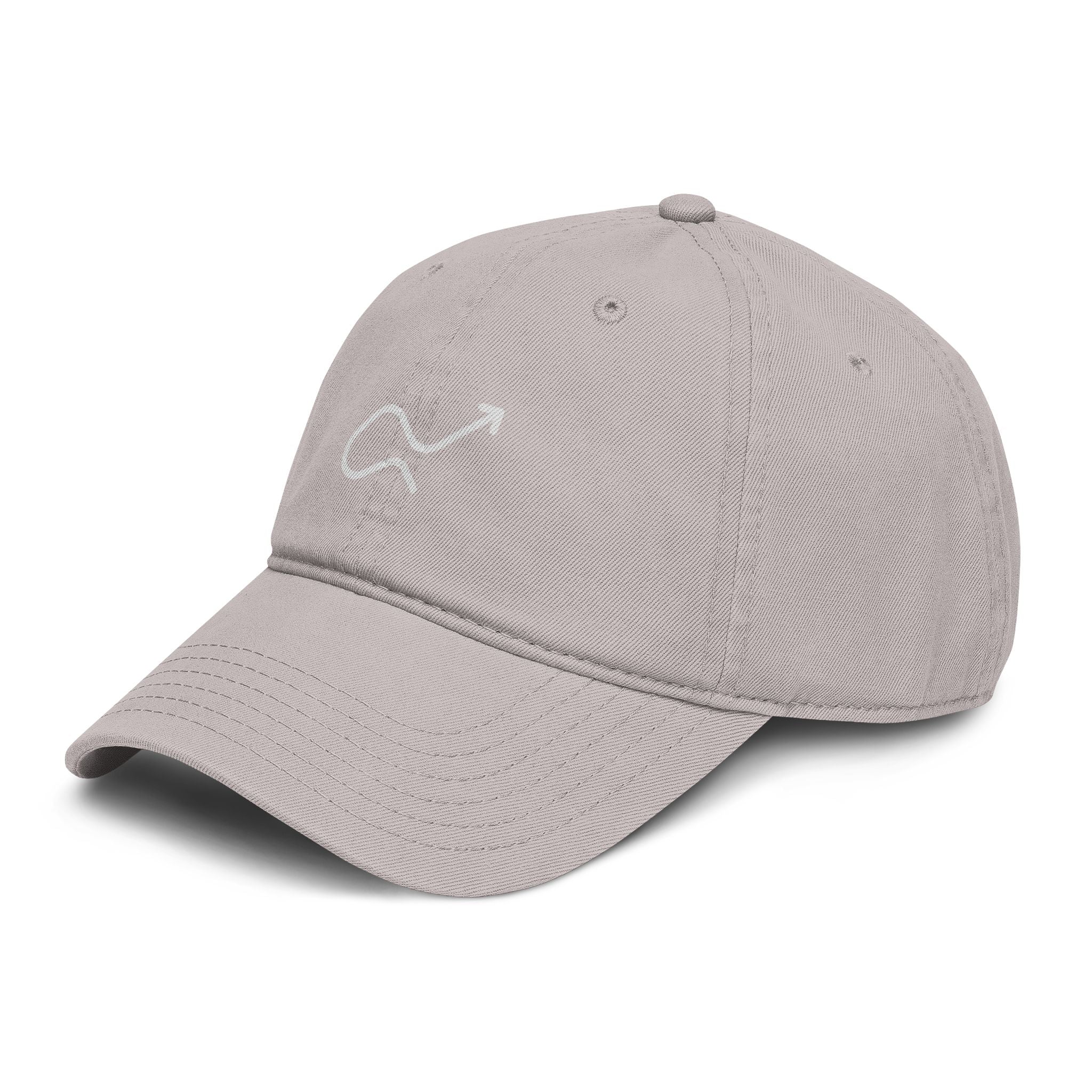 Skip the Manual Logo Washed Baseball Cap