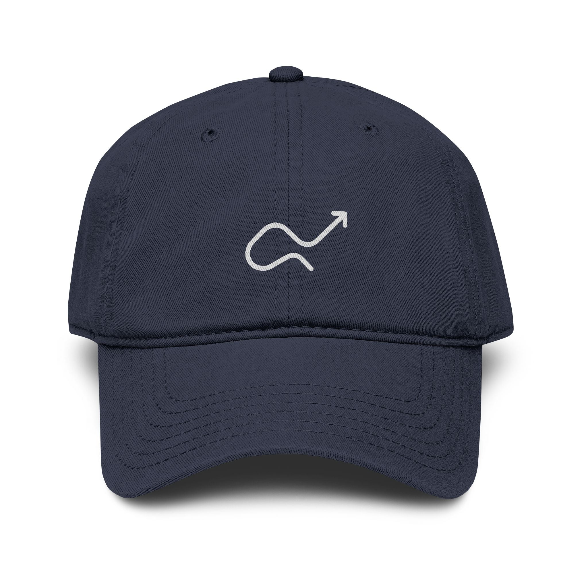 Skip the Manual Logo Washed Baseball Cap