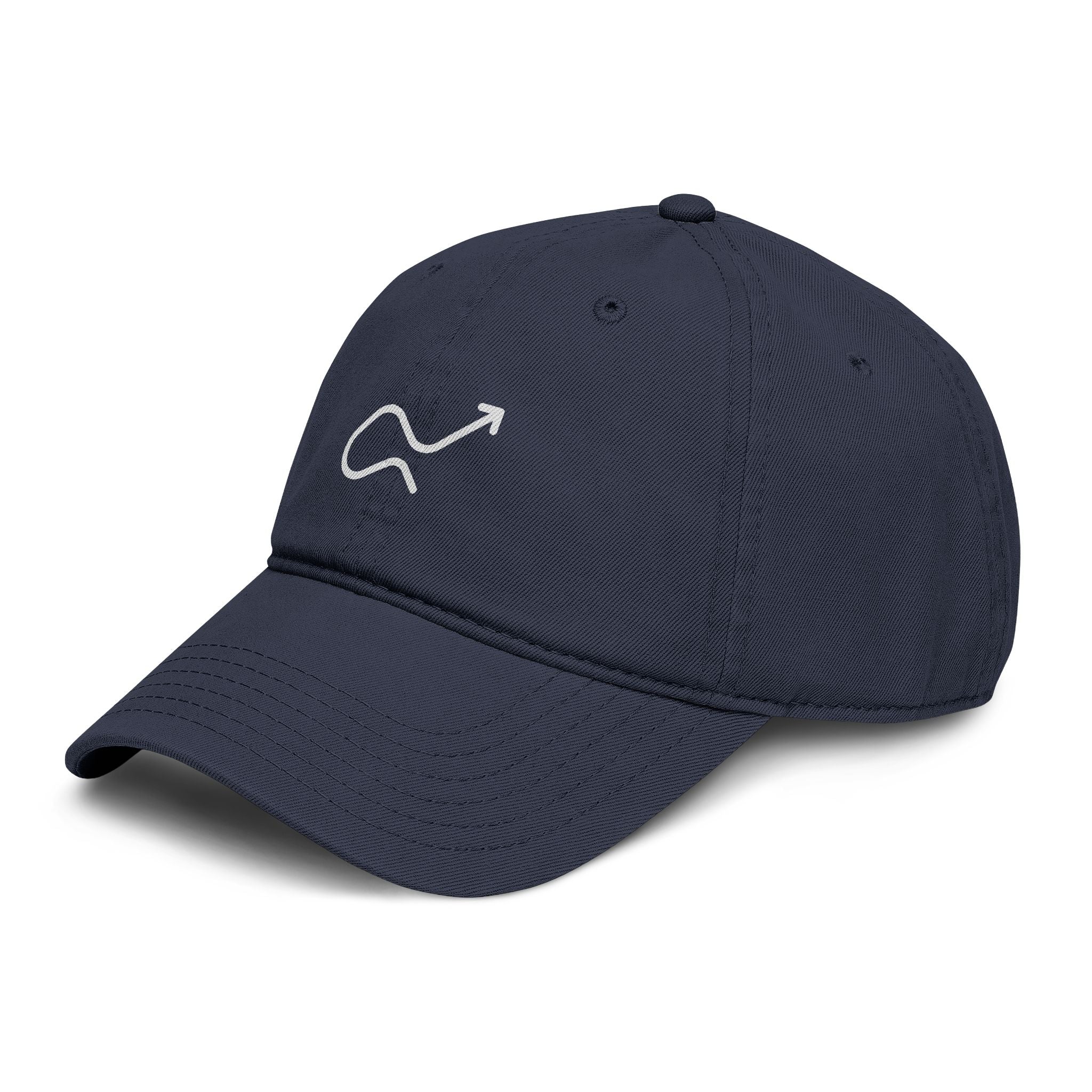 Skip the Manual Logo Washed Baseball Cap